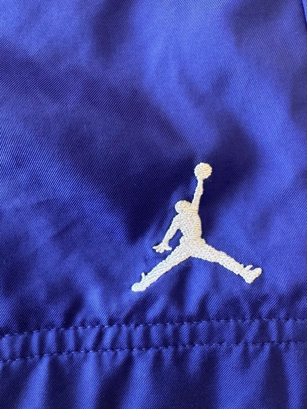 Men's Jordan Poolside Shorts Purple - Picture 2 of 8